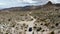 Aerial view of 4x4 car driving off road in the desert. Joshua Tree