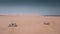 Aerial view of abandoned church in the Namibe Desert. Angola.