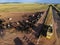 Aerial view of aberdeen angus cattle on confinement with tractor for feed distribution stopped