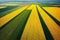 Aerial view on a agricultural field of harvest plantation, countryside scene.