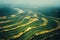 Aerial view on a agricultural field of harvest plantation, countryside scene.