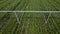 Aerial view of agricultural irrigation system watering corn field