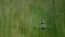 Aerial view of agricultural sprayer working on the green field on a sunny day