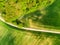 Aerial view of agriculture fields, meadow and road inside. Rural scene of countryside. Fresh green colors, look to above tree. Day