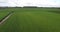 Aerial view of agriculture natural field, Netherlands