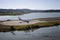 Aerial view of an airplane getting ready