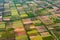 Aerial view from an airplane to fields and gardens