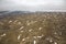 Aerial view of alaskan wilderness