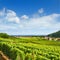 Aerial view of Alsace fruit valley at Kaysersberg