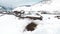 Aerial view. Altai. Winter. Flying over the snow-covered Siberian village. Aerial view