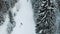 Aerial view of amateur male person cross-country skiing in winter forest landscape with dog