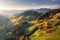 Aerial view of amazing green alpine meadows, orange trees, hills