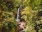 Aerial view of amazing waterfall in jungle with exotic plants. Bali, Indonesia