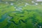 Aerial view of Amazon rainforest in Brazil, South America. Green forest. Bird`s-eye view