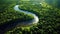 Aerial view of the Amazon Rainforest. Generative AI