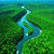 Aerial view of Amazon rainforest jungle with river