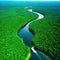 Aerial view of Amazon rainforest jungle with river