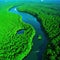 Aerial view of Amazon rainforest jungle with river