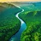 Aerial view of Amazon rainforest jungle with river