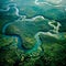 Aerial view of the Amazon Rainforest, lush greenery.