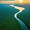 Aerial view of the Amazonas jungle landscape with river