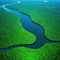 Aerial view of the Amazonas jungle landscape with river