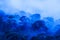 Aerial view of ancient tropical forest in blue misty, art of shape of wild trees on rainy morning