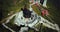 Aerial view architecture of the temple and pagoda on the top of the Fansipan mountain with a beautiful natural scenic of Sapa, Lao