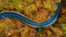 Aerial view of asphalt forest road,  winding road and colourful autumn foliage