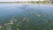 Aerial view of athlete swimmers swimming race on river slow motion