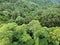 aerial view atlantic forest mature trees pines araucarias and ipes