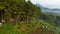 Aerial view of The atmosphere around the tent site of the Datar Pinus park. Lots of traveller are Camping at Datar Pinus