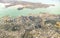 Aerial view of Auckland skyline with modern buildings and green areas - New Zealand modern city with spectacular panorama