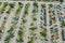 Aerial view of auto auction many used car lot parked distributed in a parking.