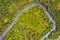 Aerial View Of Autumn Forest And River Curve