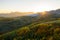 Aerial view of autumn forest in sunset lights