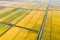 Aerial view of autumn rice field