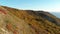 Aerial view of autumnal forest, mountains with cliff and sea