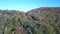 Aerial view of autumnal forest in pyrenean mountains, France