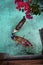 Aerial view of Bajau Laut kids looking up at the camera playing on boats