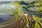 Aerial view of Bali Rice Terraces.