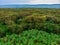 Aerial view on banana plantation bordered wit a Primal Virgin Forest of Manyara National Park Concervation Area in East