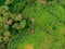 Aerial view on banana plantation bordered wit a Primal Virgin Forest of Manyara National Park Concervation Area in East