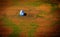 Aerial view Barn in Colorful field