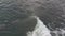 Aerial view of barrel wave in tropical ocean, Bali, group of surfers in the water.