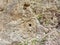 Aerial view of bas-reliefs carved in the rock that adorn the entrance frame of a house carved into the rock. Eastern Turkey