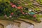 Aerial view of Batad rice terraces, Luzon island, Philippin