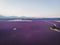aerial view of beautiful cultivated lavender field and mountains
