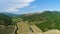 Aerial view of beautiful farming fields with growing plants on blue cloudy sky background. Shot. Flying above the green