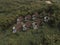 Aerial view of beautiful isolated villa with small swimming pool in the middle of a forest